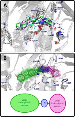 Docking, Interaction Fingerprint, and Three-Dimensional Quantitative Structure–Activity Relationship (3D-QSAR) of Sigma1 Receptor Ligands, Analogs of the Neuroprotective Agent RC-33